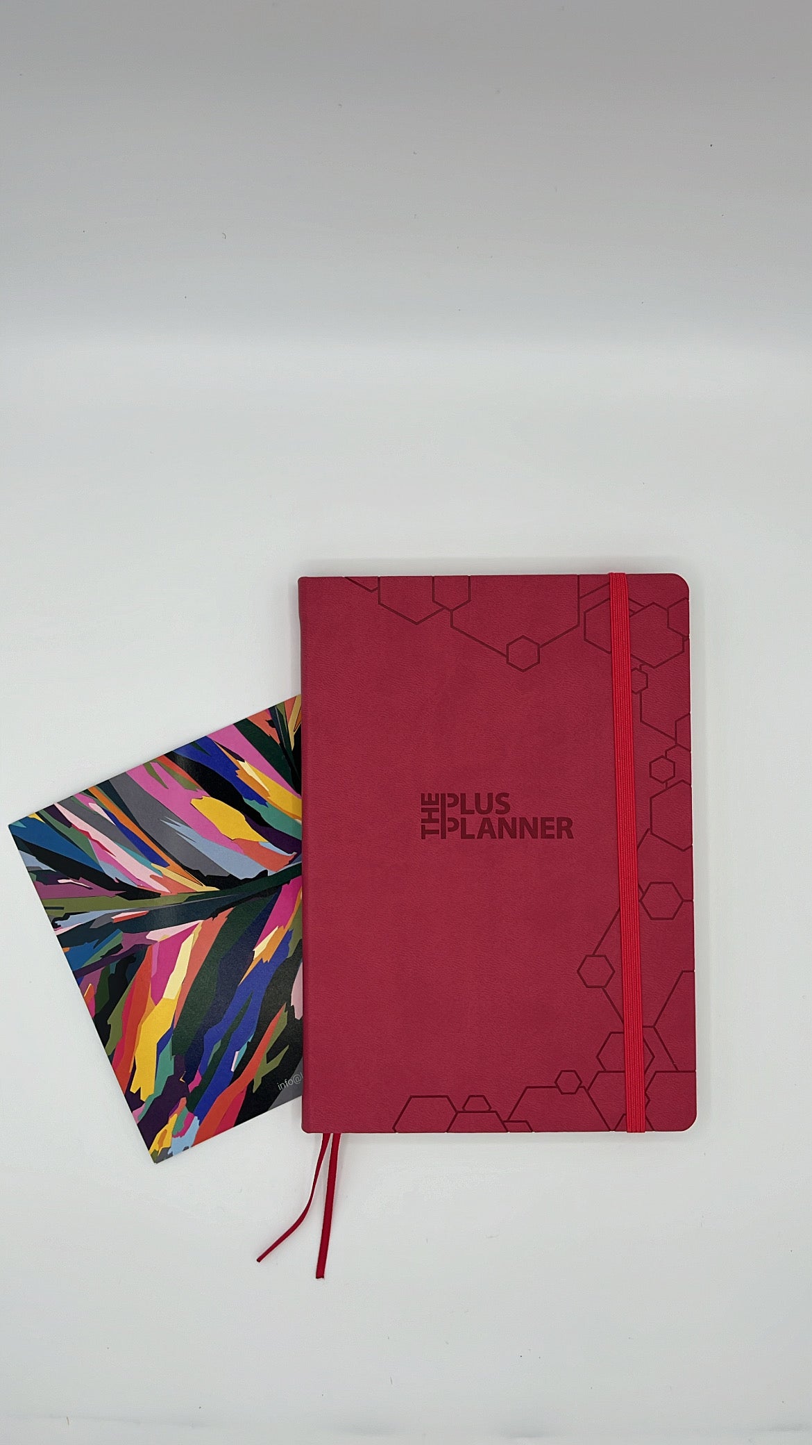 Cerise Pink - Reflection Diary Planner, 2024...The Plus Planner