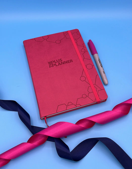 Cerise Pink - Reflection Diary Planner, 2024...The Plus Planner